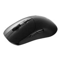 Rapoo V2000PRO Wired/Wireless Gaming Mouse, Compact, Optical, Right-Handed, 26000dpi, 2.4GHz, QI, USB 3.0 Type-C, Black