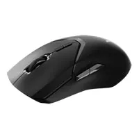 Rapoo VT9PRO Wired/Wireless Gaming Mouse, Optical, Right-Handed, 26000dpi, Lightweight, 2.4GHz, QI, USB Type-C, Black