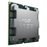 AMD Ryzen 9 9900X3D - Tray (4.4 GHz / 5.5 GHz)